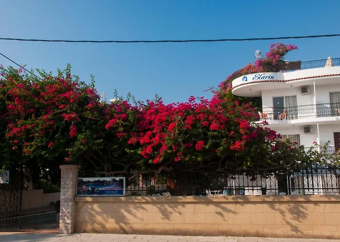 Elarin & فاليراكي