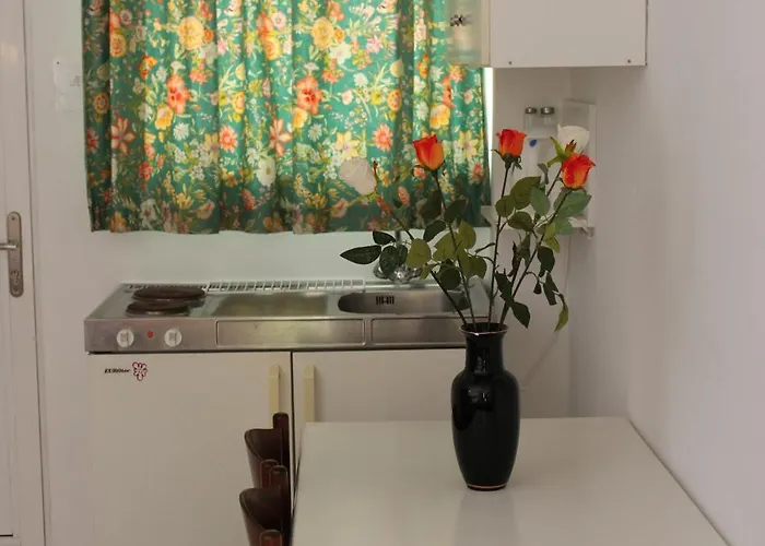 Hotel de apartamente Elarin & 4*